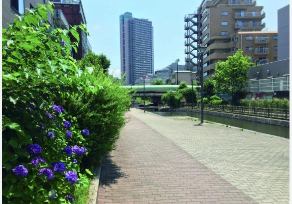 近くの古石場川親水公園まで241m(徒歩4分)