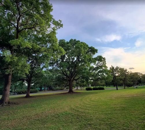 近くの篠崎公園まで1,153m(徒歩15分)