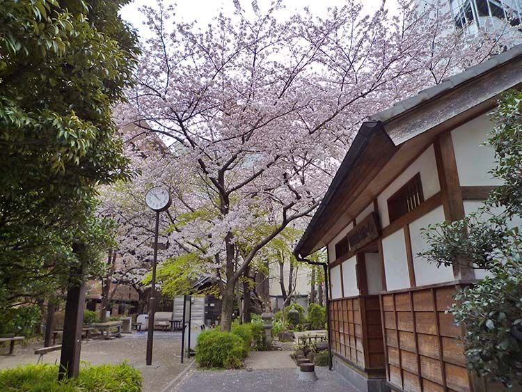 近くの公園まで114m（徒歩2分）