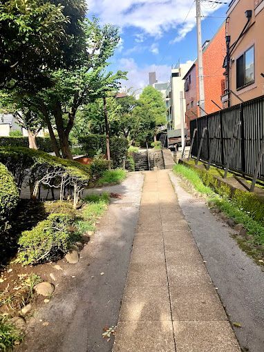 近くの洲崎川緑道公園まで166m（徒歩3分）