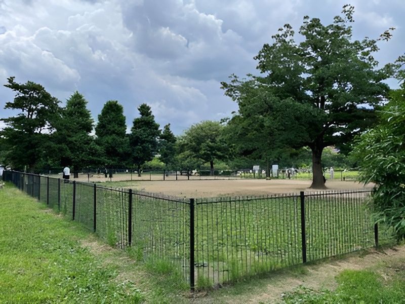 近くの木場公園 ドッグランまで593m（徒歩8分）