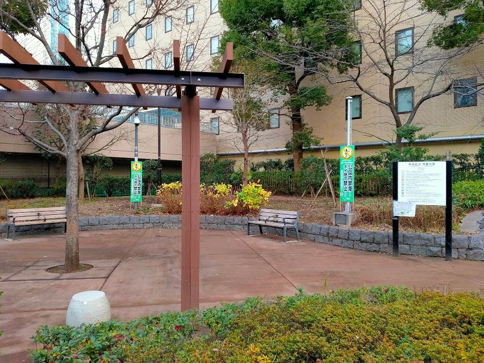 近くの常盤公園まで355m（徒歩5分）