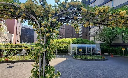 近くの楓川新富橋公園まで228m(徒歩3分)