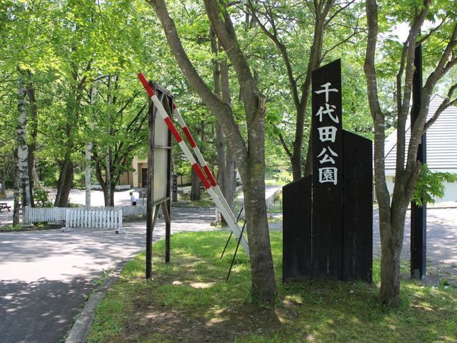 近くの千代田公園まで241m（徒歩4分）