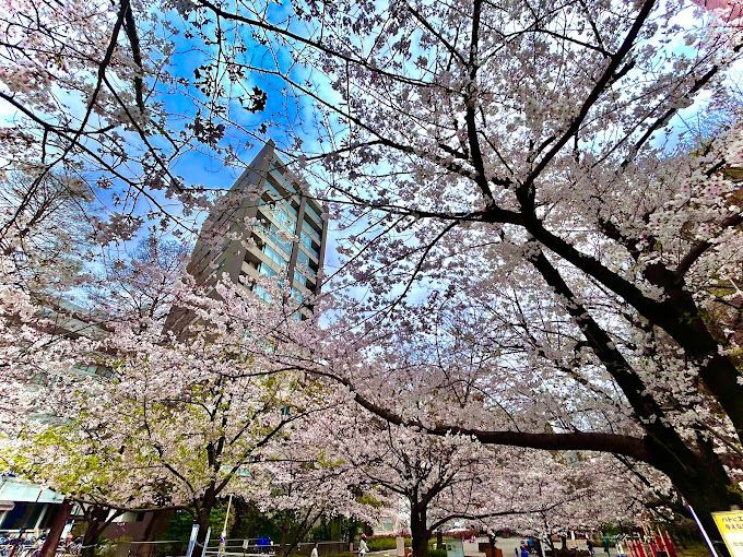 近くの桜川公園まで220m（徒歩3分）