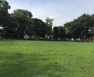 近くの宮前花広場まで145m（徒歩2分）