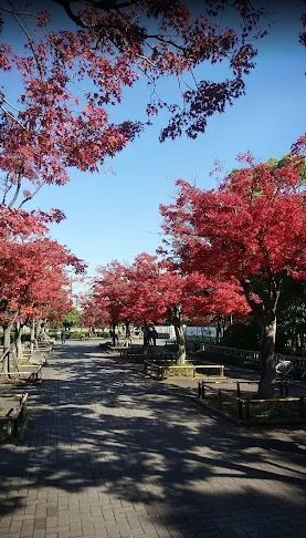 近くの宇喜田公園まで909m（徒歩12分）
