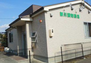 近くの新川調剤薬局まで62m（徒歩1分）