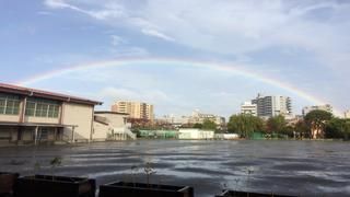 近くの川崎市役所 こども未来局 大島小学校わくわくプラザまで127m（徒歩2分）