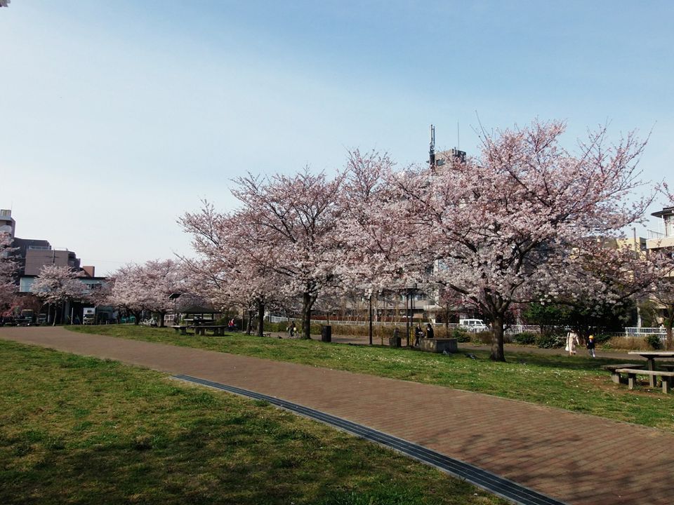 近くの公園まで490m（徒歩7分）