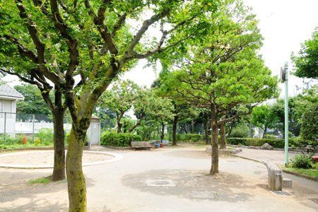 近くの小日向公園まで239m（徒歩3分）