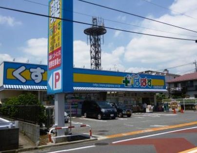 近くのどらっぐぱぱす 世田谷中町店まで221m（徒歩3分）