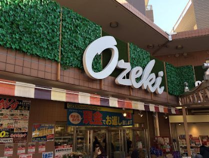 近くのオオゼキ 雪が谷店まで642m（徒歩9分）
