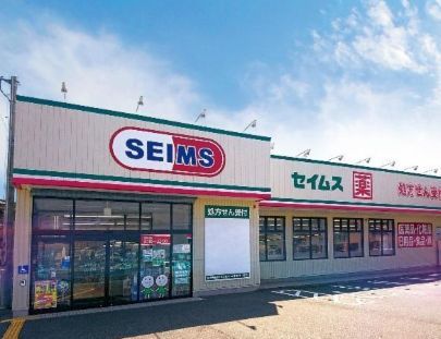 近くのドラッグセイムス 奥沢店まで286m（徒歩4分）