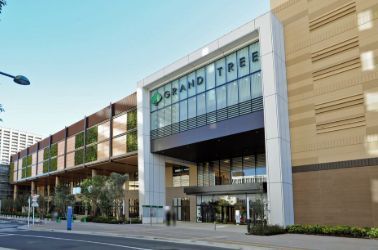 近くのイトーヨーカドー グランツリー武蔵小杉店まで460m（徒歩6分）