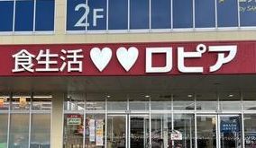 近くのLOPIA(ロピア) 川崎水沢店まで959m（徒歩12分）