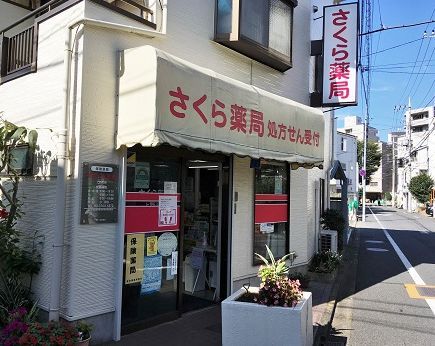近くのさくら薬局 上野毛店まで348m（徒歩5分）