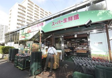 近くのスーパー生鮮館TAIGA(タイガ) 藤が丘店まで704m（徒歩9分）