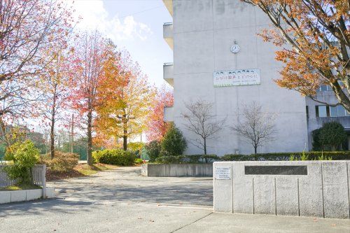 近くの中学校まで726m（徒歩10分）