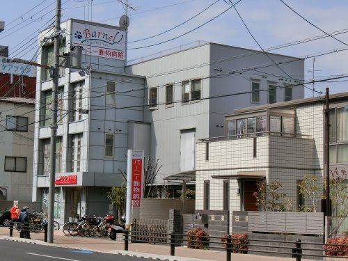 近くのバーニー動物病院まで95m(徒歩2分)