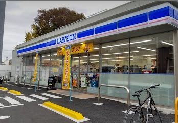 近くのローソン白幡4丁目店まで810m（徒歩11分）