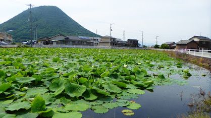 近くの菰池まで727m（徒歩10分）