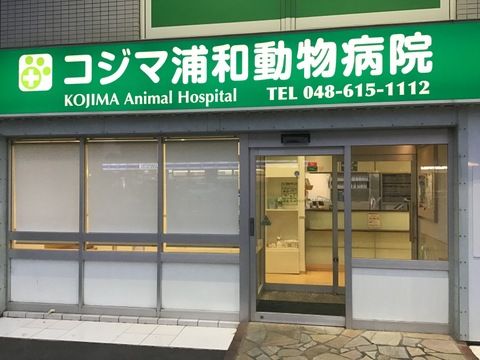 近くのコジマ動物病院まで315m（徒歩4分）
