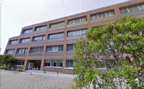 近くの大学・短大まで856m（徒歩11分）