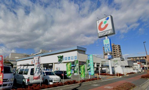 近くのカワチ薬品 下小出店まで659m(徒歩9分)