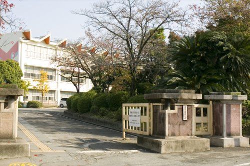 近くの東海市立横須賀小学校まで693m(徒歩9分)