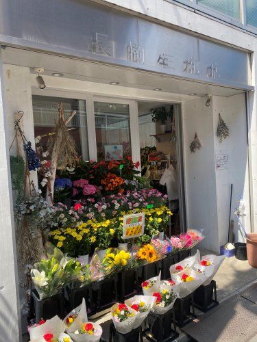 近くの長岡生花店まで575m(徒歩8分)