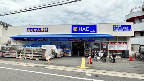 近くのハックドラッグ川崎稲田堤店まで805m（徒歩11分）