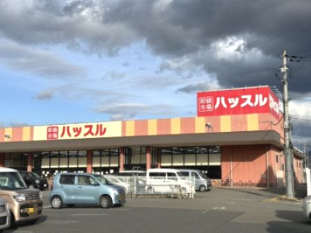 近くのハッスル 高野口店まで1,925m（徒歩25分）