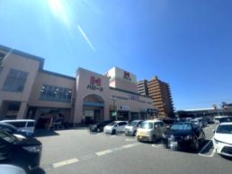 近くのハローズ 佐古店まで959m（徒歩12分）
