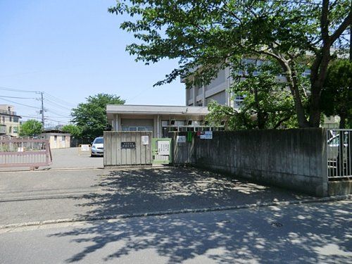 近くの小学校まで981m（徒歩13分）