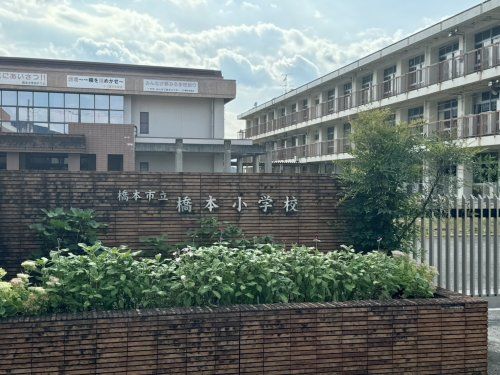 近くの橋本市立橋本小学校まで173m（徒歩3分）