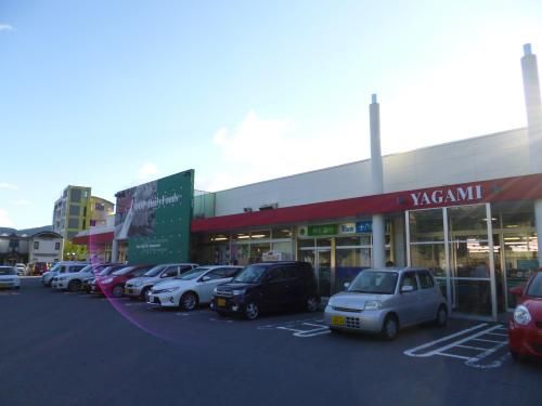 近くのララコープ LaLa(ララ) 矢上まで259m(徒歩4分)