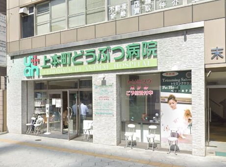 近くの上本町どうぶつ病院まで287m（徒歩4分）