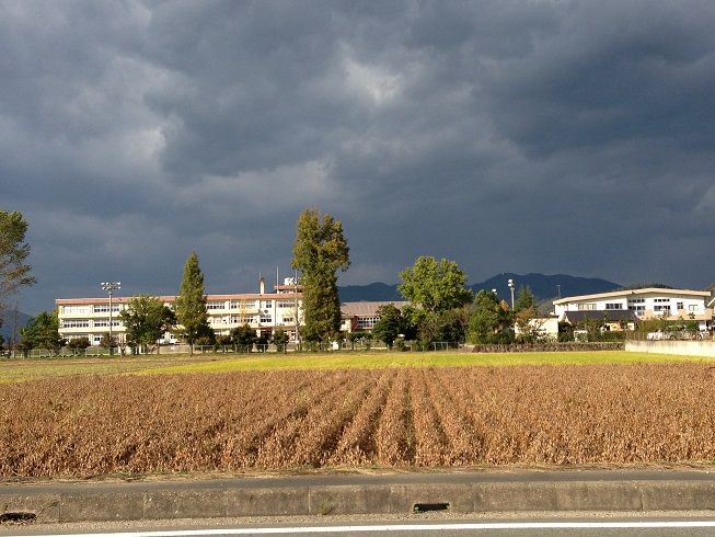 近くの豊岡市立新田小学校まで2,187m（徒歩28分）