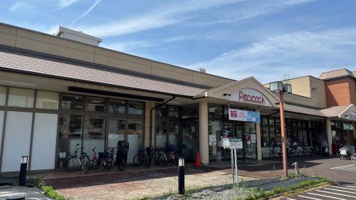 近くのピーコックストア 玉川上水店まで167m（徒歩3分）