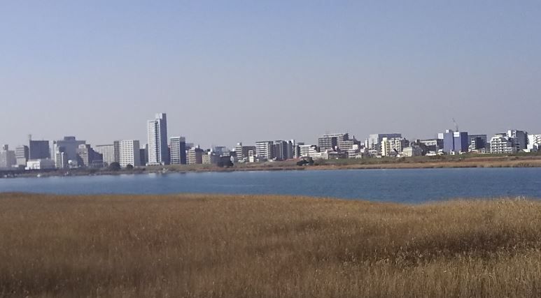 近くの中津公園まで364m(徒歩5分)