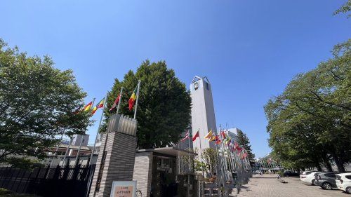 近くの東京国際大学まで588m（徒歩8分）