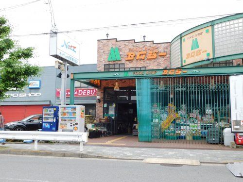 近くのFOOD SHOP(フードショップ)エムジー 上堀川店まで453m(徒歩6分)
