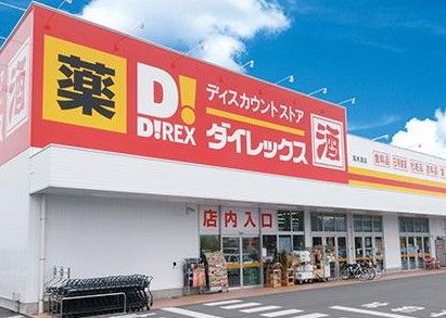 近くのダイレックス住吉店まで1,118m（徒歩14分）