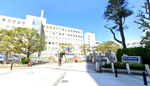 近くの私立神奈川歯科大学まで1,284m(徒歩17分)