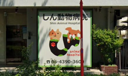 近くのしん動物病院まで519m（徒歩7分）