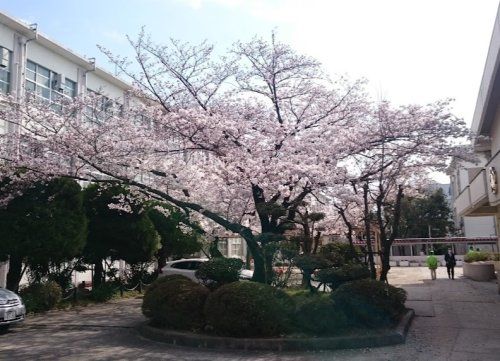 近くの小学校まで726m（徒歩10分）