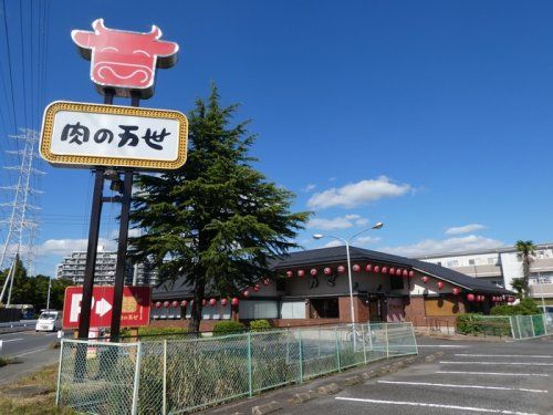 近くの肉の万世鳩ヶ谷店まで726m（徒歩10分）