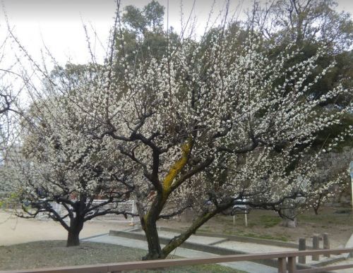 近くの高津公園まで493m（徒歩7分）
