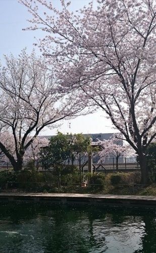 近くの公園まで1,744m（徒歩22分）